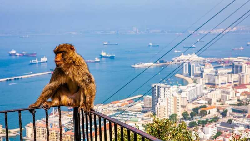 Apartamentos Albeniz Algeciras Eksteriør bilde